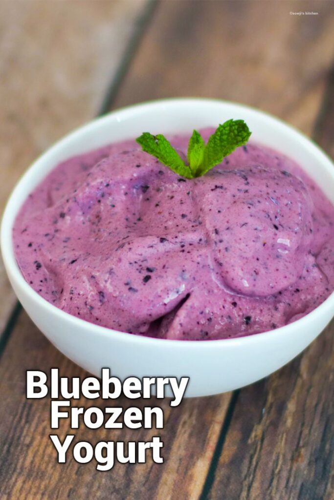 Blueberry frozen yogurt
